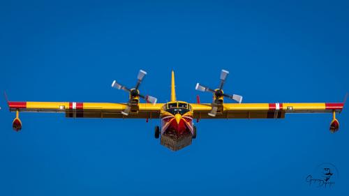 5Z0A0379-Enhanced-NR